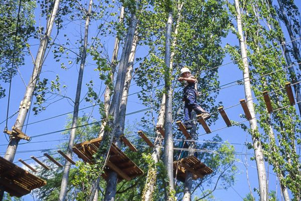 Tree climbing